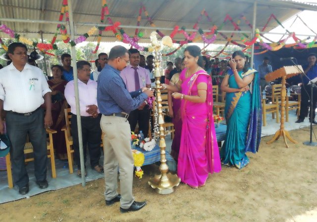 division sports 2019 19